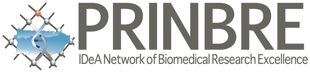 piestar logo